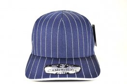 PB-327 PLAIN STRIPE CURVE CAP - NAVY