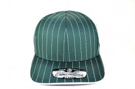 PB-327 PLAIN STRIPE CURVE CAP - D.GREEN