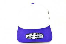 PB274 - 5PANEL 2TONE HIGH FRAME-CREAM/PURPLE