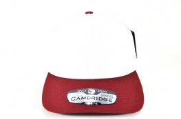 PB274 - 5PANEL 2TONE HIGH FRAME-CREAM/BURGUNDY