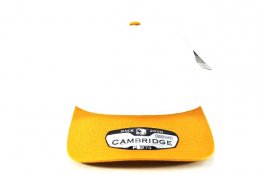 PB274 - 5PANEL 2TONE HIGH FRAME-CREAM/MUSTARD