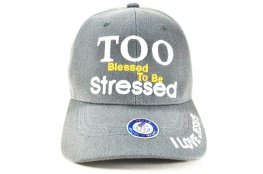 CC-2 TOO BLESSED TO BE STRESSED - D.GREY